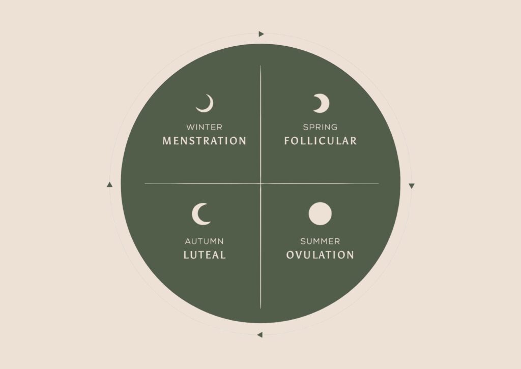 Understanding menstrual cycle awareness to prepare for perimenopause and menopause naturally.