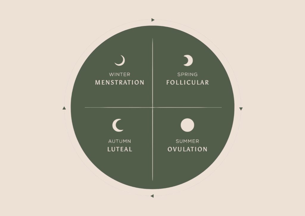  The four seasons of the menstrual cycle and their connection to women's hormonal health and menopause 
